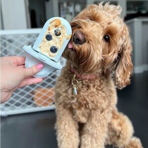 Pink- Diggs grove crate training aid for puppies & nervous dogs.